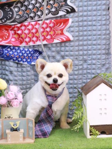 20230510ポロくん